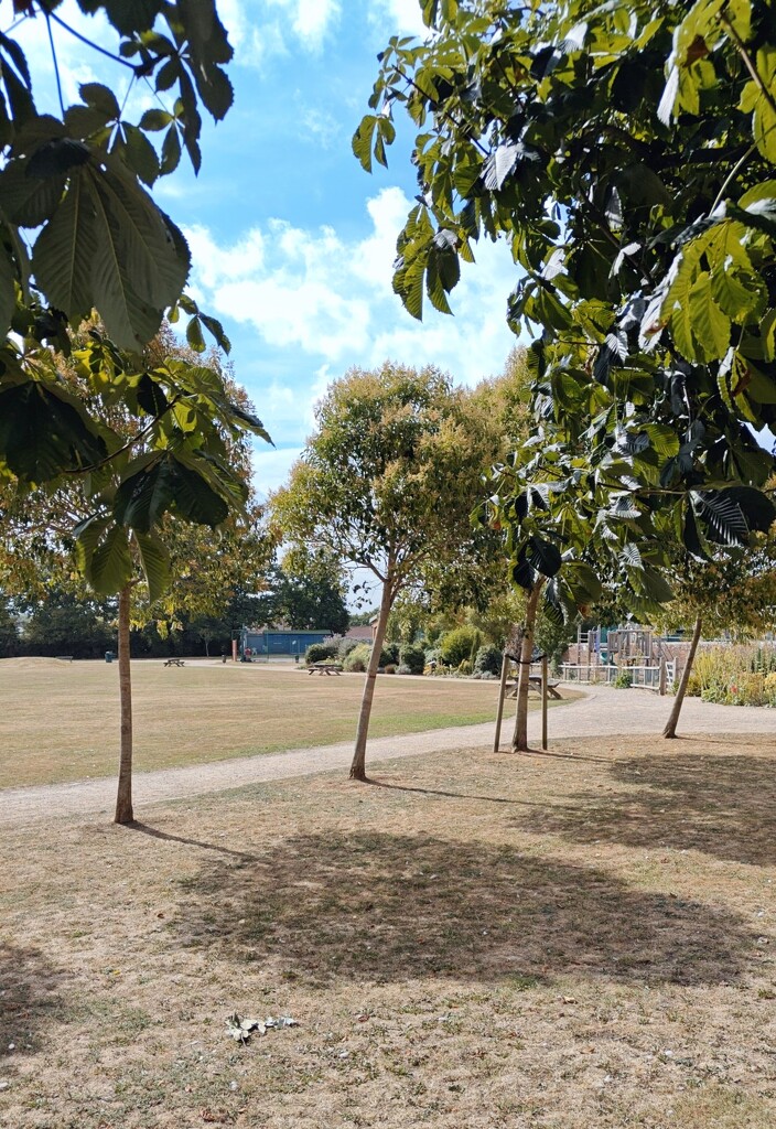 Station Road Gardens by nickrh14