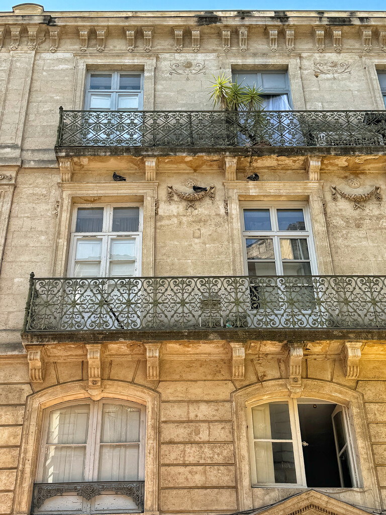 Hearts in Montpellier.  by cocobella