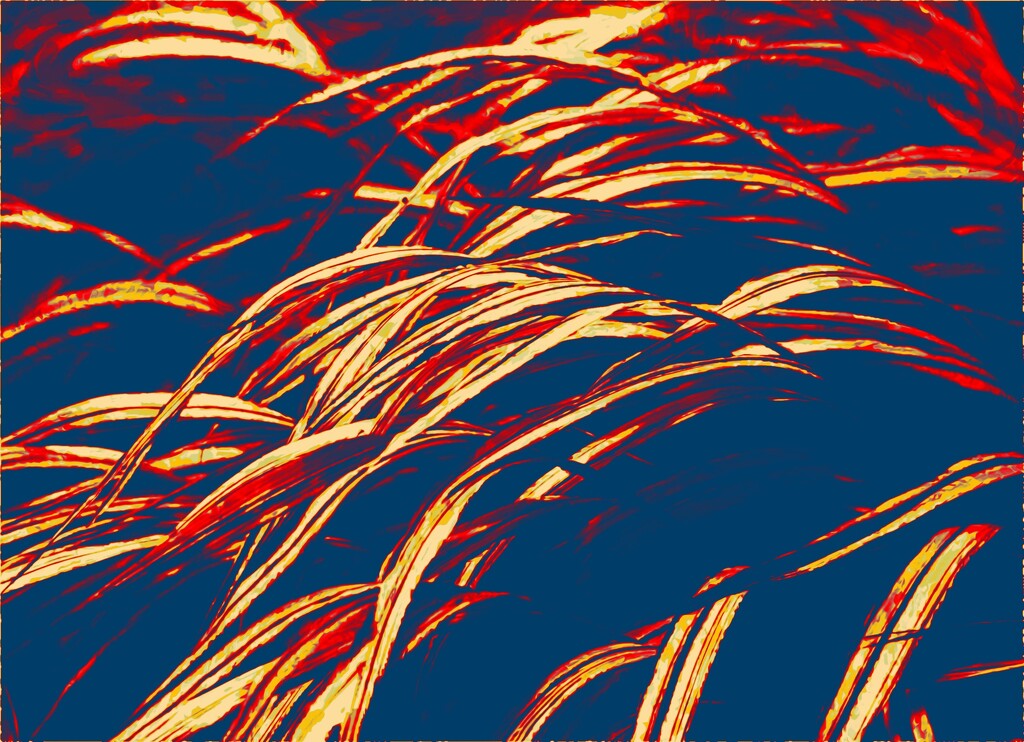 Waves by 365projectorgheatherb