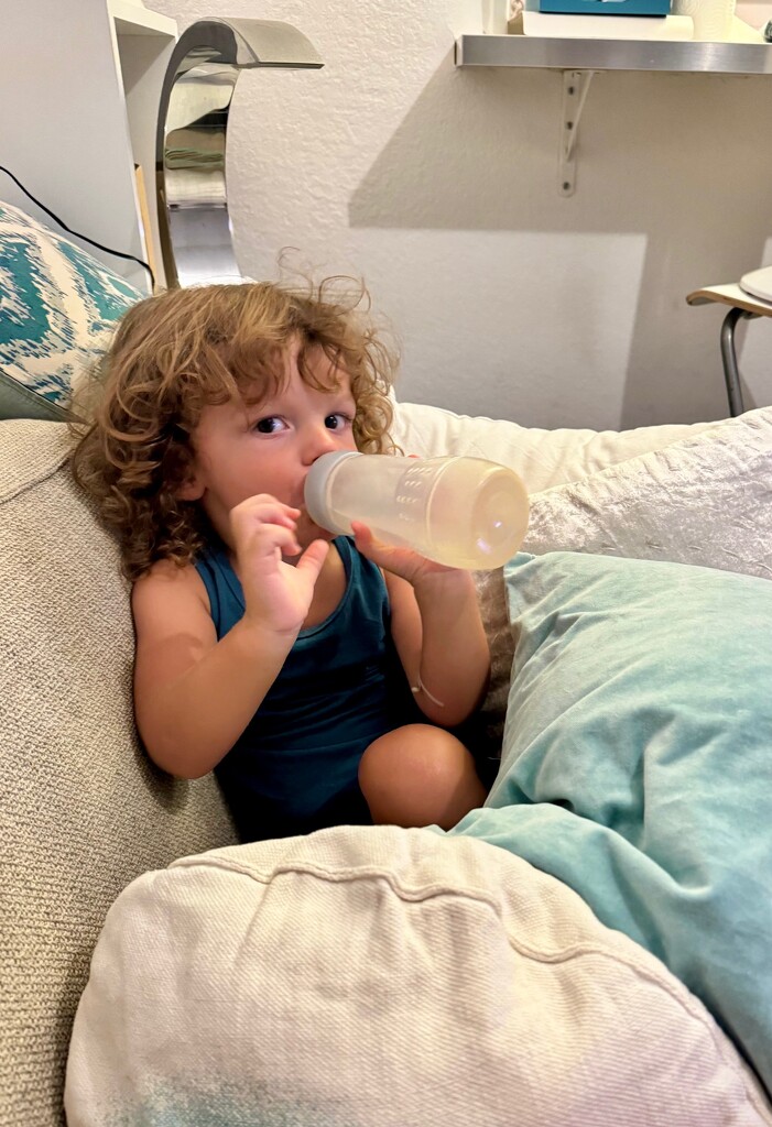 Bib time.  by cocobella