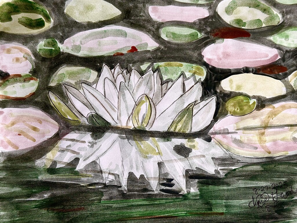 Water Lily -watercolor on white paper  by pandorasecho
