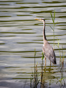 28th Aug 2025 - 81/365