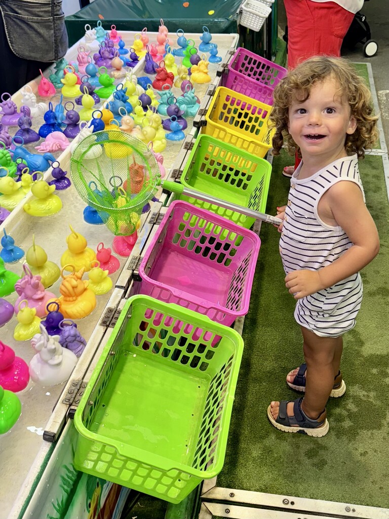 All the ducks for me ?!  by cocobella