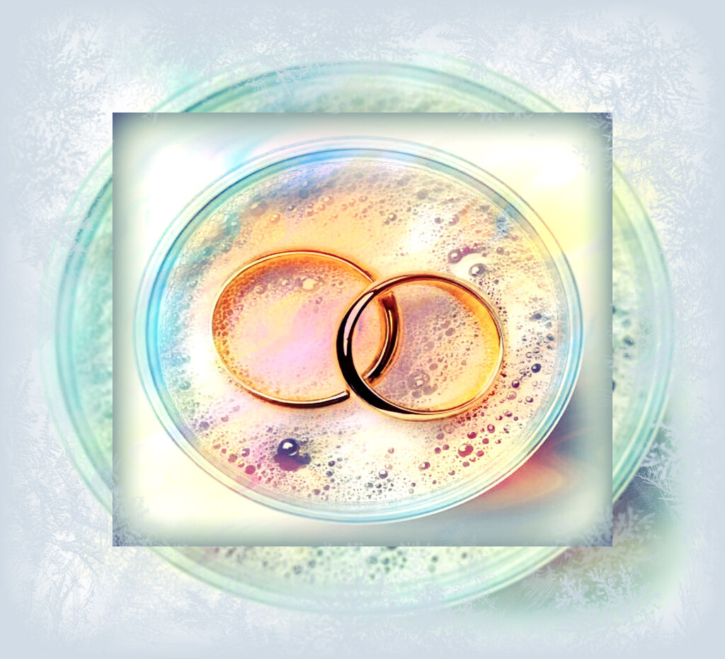 Bubbles and rings by beryl