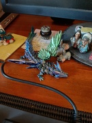 29th Aug 2025 - Litte Dragon 