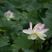 27th Aug 2025 - Day239