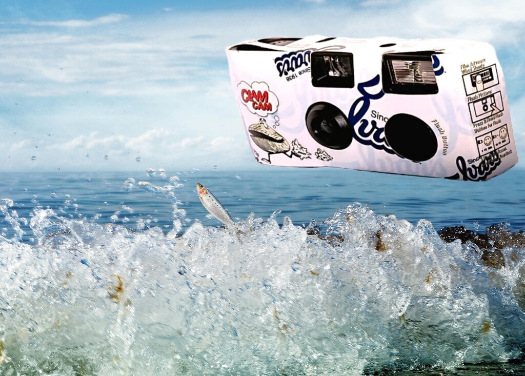 A Camera Captures a Photo of a Fish - Abstract # 28 by sewfree