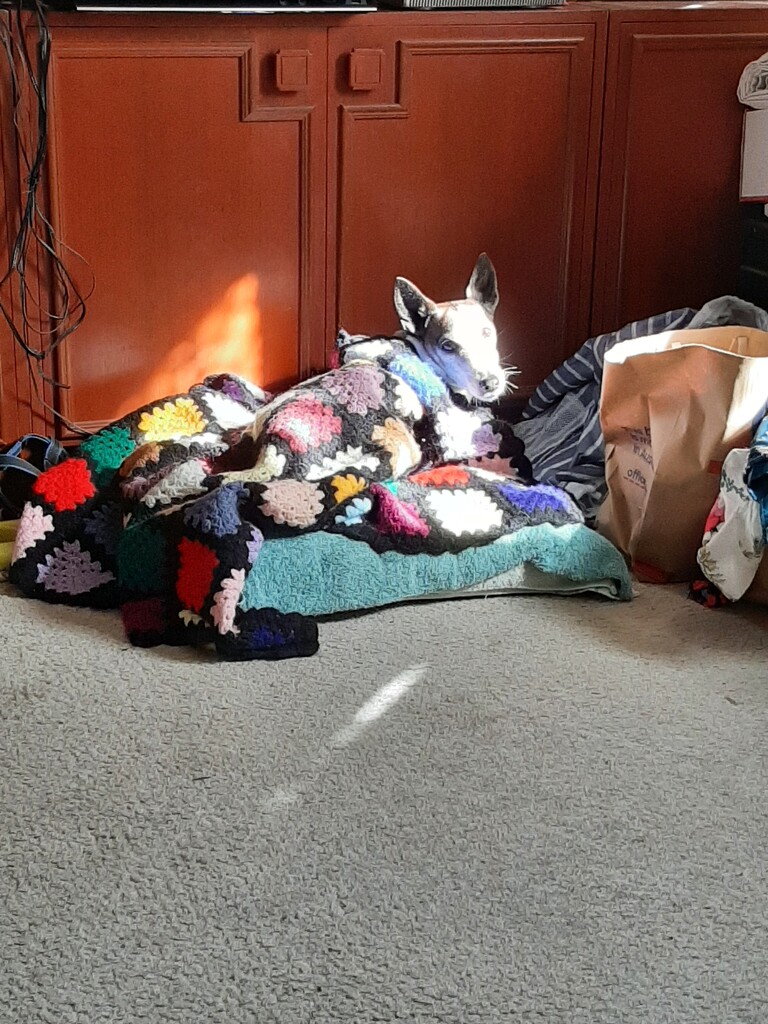 A Cold Day  by mozette