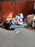 30th Aug 2025 - A Cold Day 