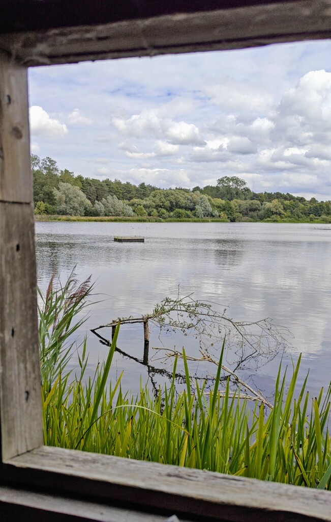 Tranquility by nickrh14