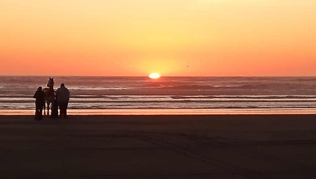 Where the Light Meets Land by sewfree