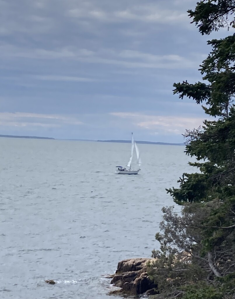 August words-Horizon  by illinilass