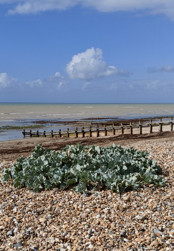 Sea view by nickrh14