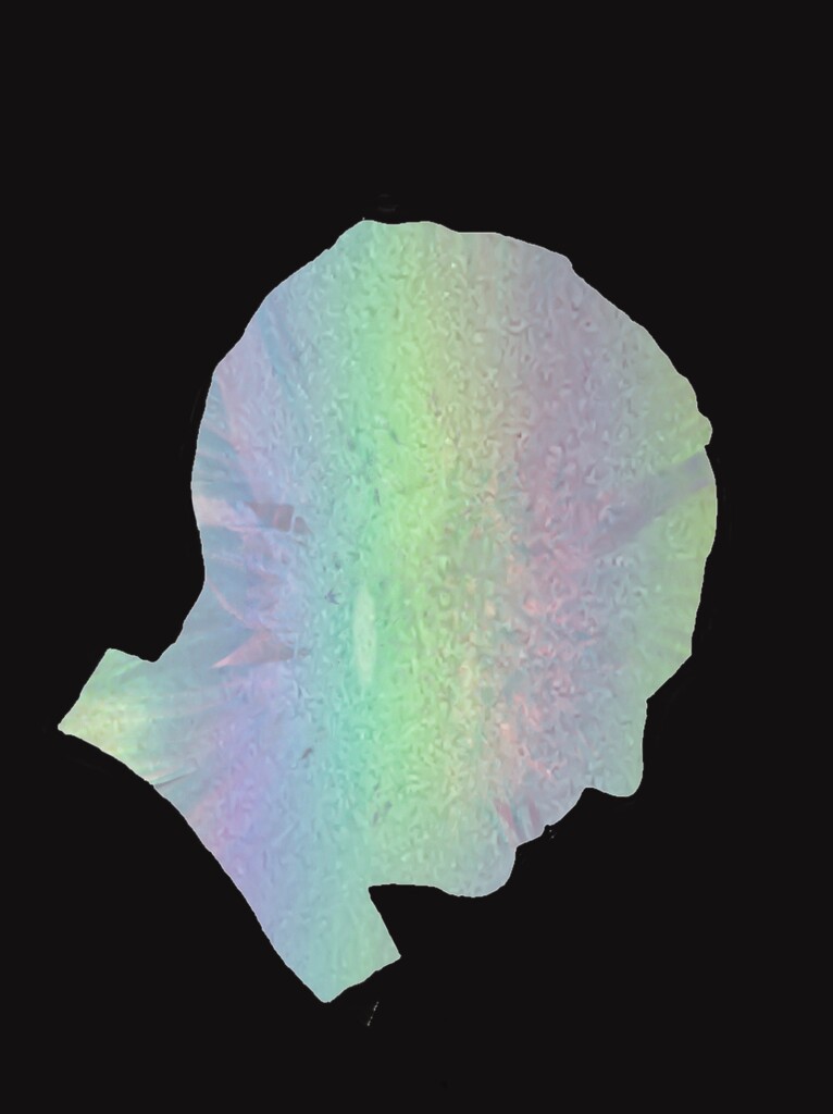 Silhouette by shutterbug49