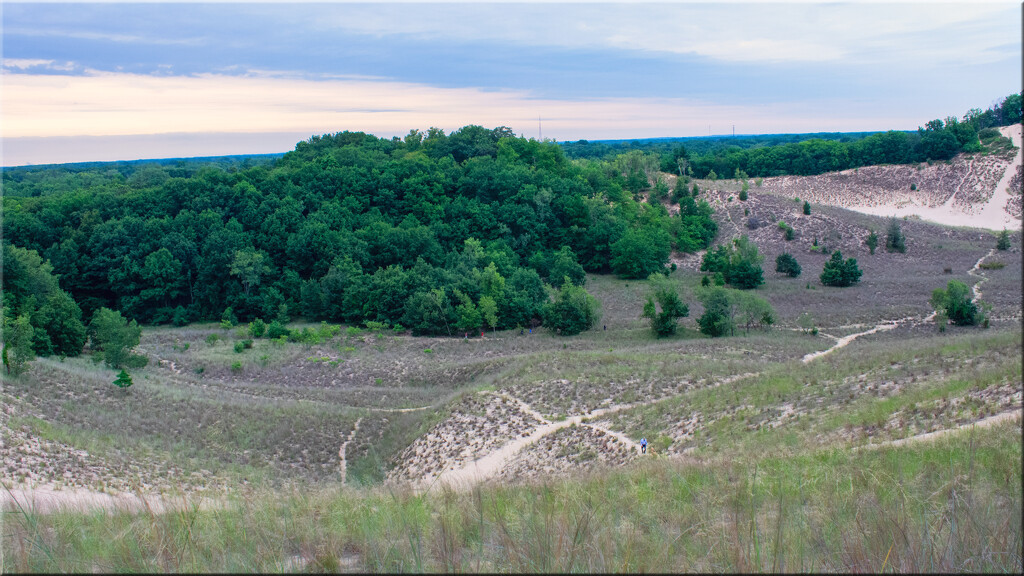 A man and his dog by 365projectorgchristine