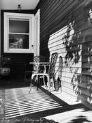 25th Aug 2025 - Day237