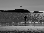 26th Aug 2025 - Day238