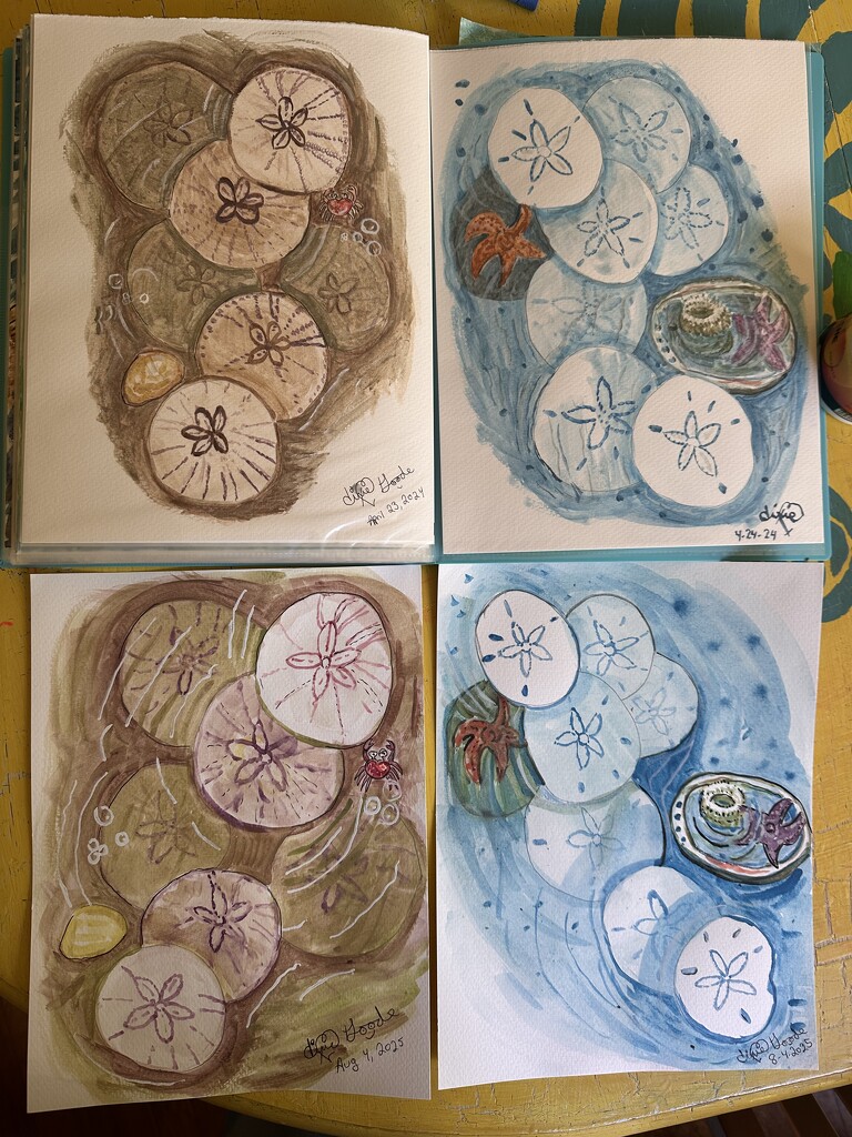 Sand Dollar$ by pandorasecho