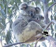 1st Sep 2025 - what a pair