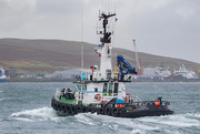 1st Sep 2025 - Pilot Boat