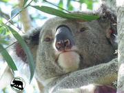 2nd Sep 2025 - portrait 