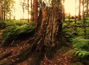 2nd Sep 2025 - On A Grey Dull Day ~