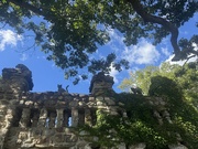 1st Sep 2025 - A Castle Full of Cats!