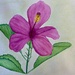 Hibiscus in Watercolor  by marylandgirl58