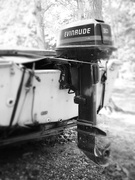 2nd Sep 2025 - Dreams of Fishing