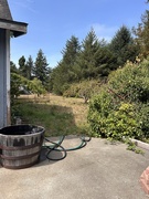 2nd Sep 2025 - Relaxing at home. 