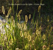 2nd Sep 2025 - 2september