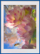 3rd Sep 2025 - Hellebores with bee