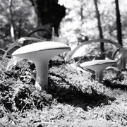 3rd Sep 2025 - Taking Some Sun