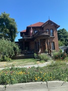 3rd Sep 2025 - House with Wild Flowers