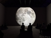 30th Aug 2025 - Day242