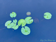 28th Aug 2025 - Day240