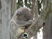 3rd Sep 2025 - out for the count