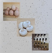 4th Sep 2025 - Omelette maybe!