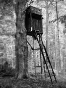 4th Sep 2025 - To Sit Quietly and Watch