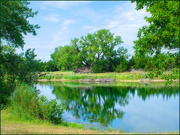 4th Sep 2025 - The tree of life