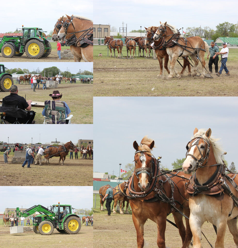 MFPIAC Agriculture by spanishliz