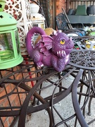 5th Sep 2025 - Little Dreamer