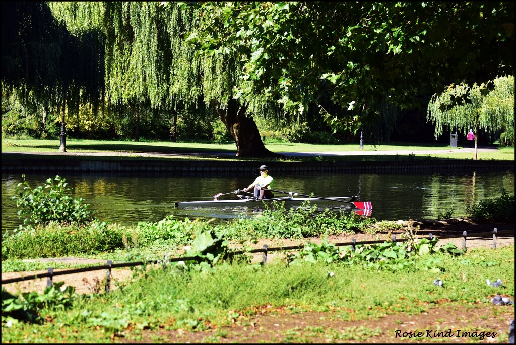 The rower by rosiekind