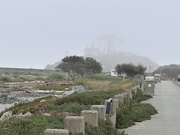 5th Sep 2025 - Battery Point Lighthouse in the fog