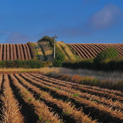 5th Sep 2025 - Stripes
