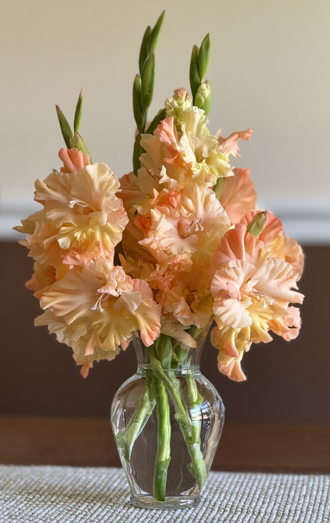 Late Bloomers by lisab514