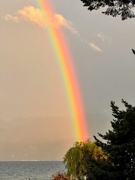 6th Sep 2025 - Rainbow. 