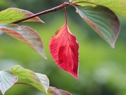 5th Sep 2025 - Leaving Summer