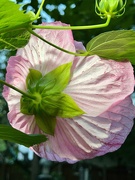 5th Sep 2025 - 5september