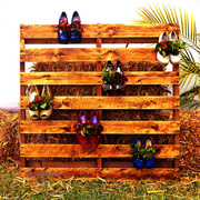 6th Sep 2025 - Don't Throw Away Your Old Shoes ~